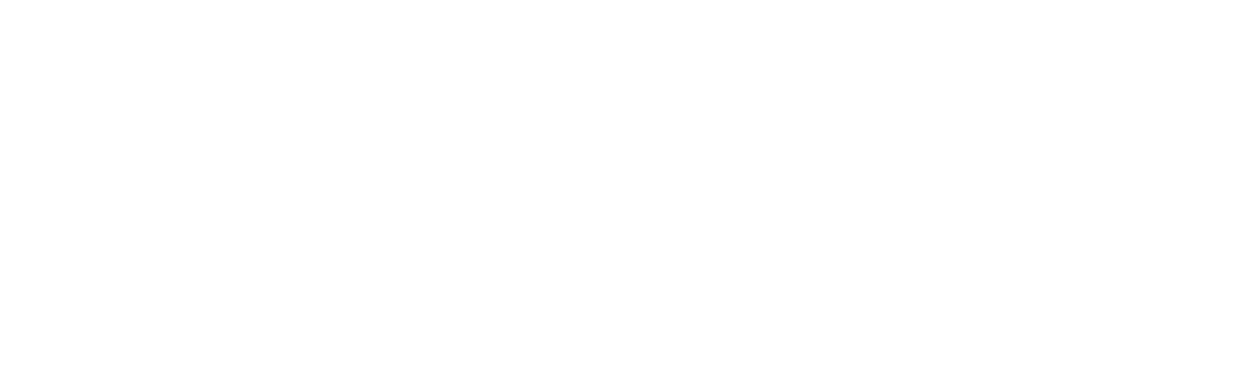 Opsbliss