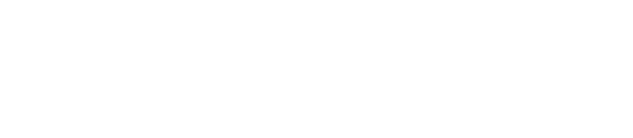 Opsbliss