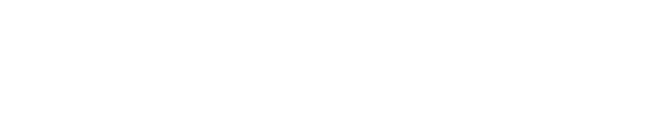 Opsbliss